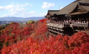世界遺産　古都京都の文化財